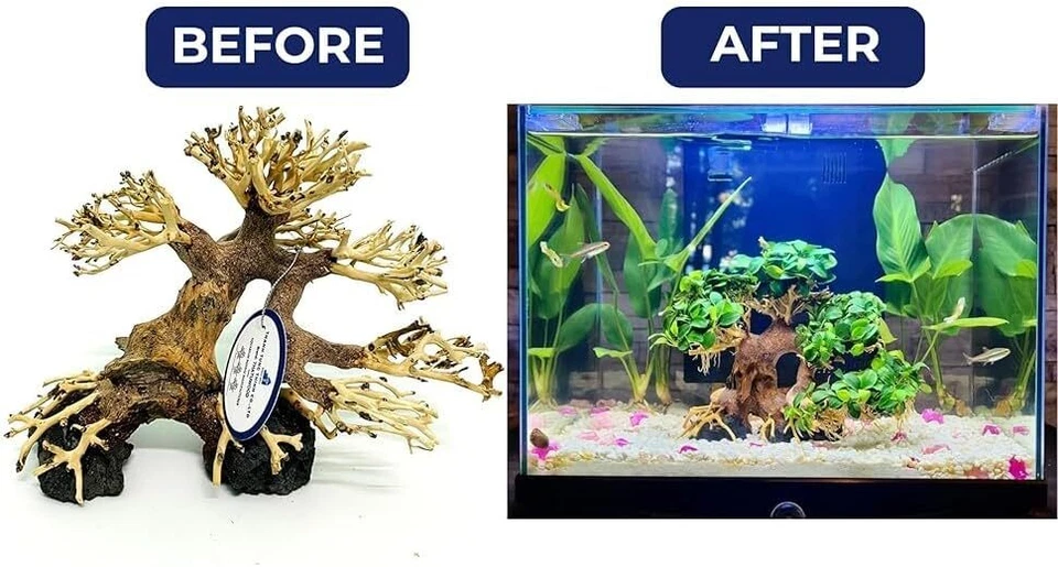 Enchanting 8" Driftwood Bonsai Tree for Aquariums – Handcrafted Natural Aquasc - Image 3 of 4