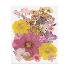 30 Pcs Dried Pressed Flower Leaves Bulk for Resin, Fragrant Series Pink