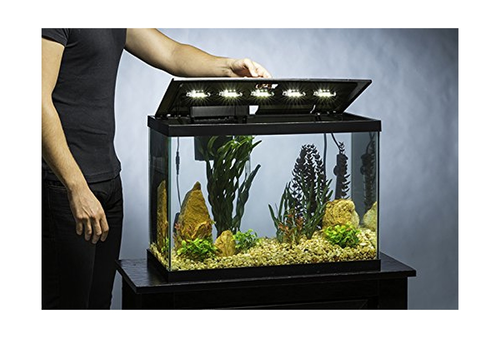 Tetra Aquarium 20 Gallon Fish Tank Kit, Includes LED Lighting and Decor