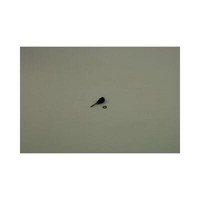 Bosch Ersatzteil Ttnr: 8738901705 TemperaturfüHler