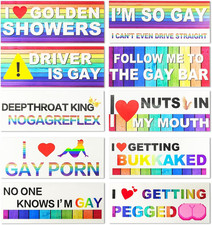10PCS Bumper Decals Funny LGBT Stickers, Gay Bumper Stickers, Waterproof Rainbow