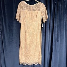 NWT Adrianna Papell Lace Sheath Dress Sz 2 Floral Ivory Nude Lace MRSP 159