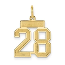 14k Yellow Gold Small Satin Number 28 Charm