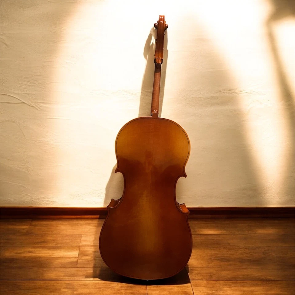 Violonchelo de tamaño completo con estuche blando - necesita cuerdas y pasador, buen instrumento de proyecto Foto 3 de 4