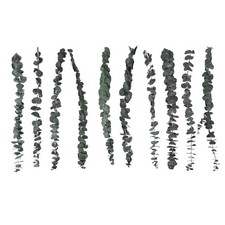 10Pack Natural Dried Eucalyptus Bundle,Preserved Fresh Eucalyptus Branches7907