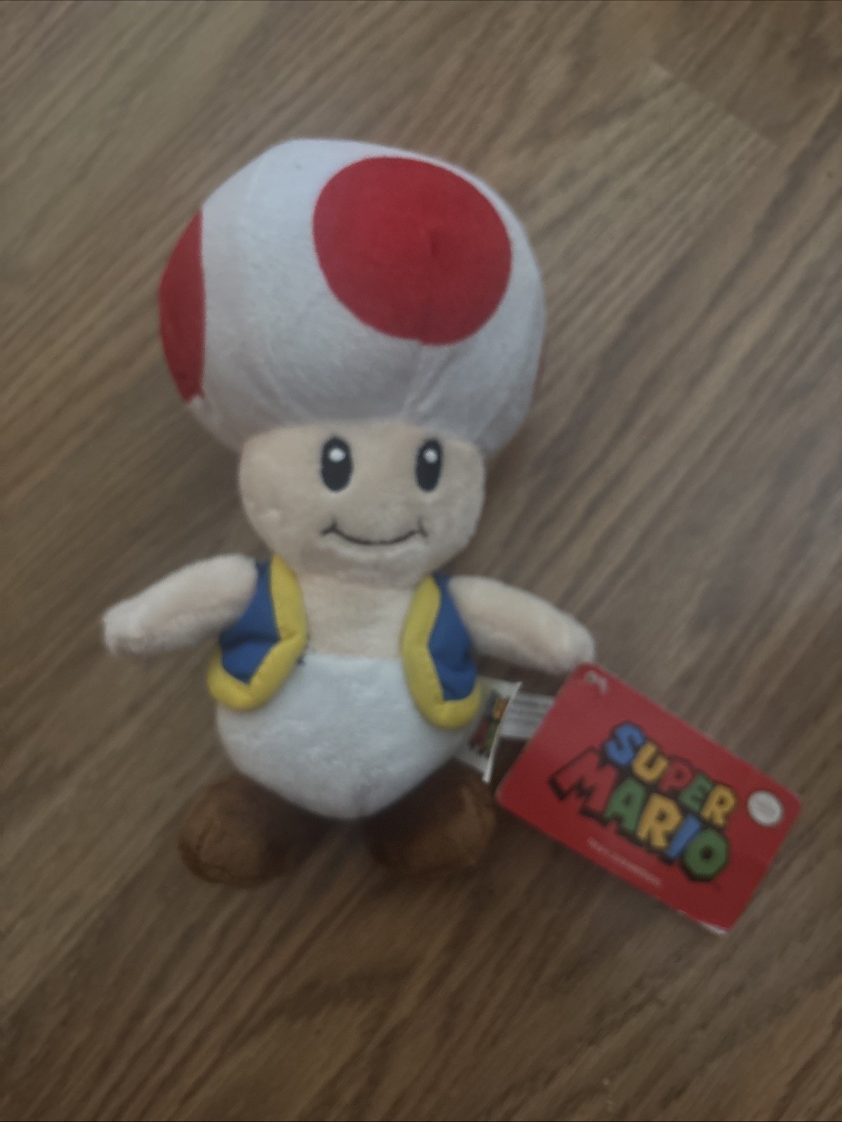 Super Mario Bros Red TOAD Mushroom 8