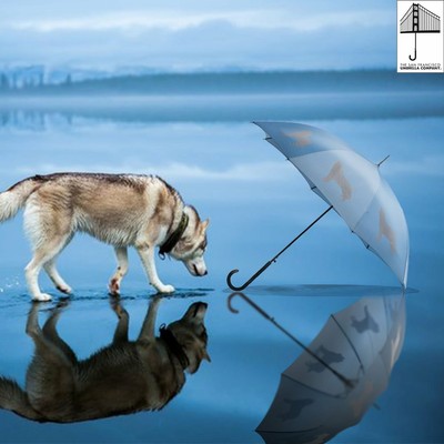 husky umbrella