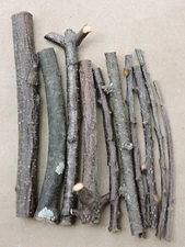 160 Cherry Branch Twigs Natural Wood Sticks Decor Crafts Small  1/16~1/2"D 3~4"L