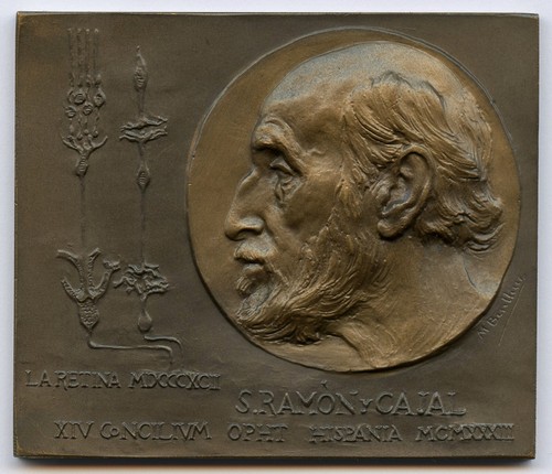 Spain Ramon Cajal Medicine XIV Ophthalmology Congress 1933 Medal by M.Benlliure - Picture 2 of 7
