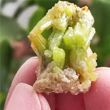 NATURAL GREEN PYROMORPHITE CRYSTAL CLUSTER MINERAL SPECIMENS (15.5g) M11