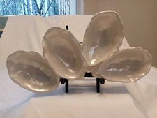 Twos Company Iridescent White Oyster Bowls, Tidbit Tray, Platter, Serving Dish