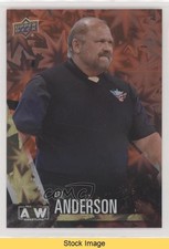 2021 Upper Deck AEW All Elite Wrestling Crew Dynamite Arn Anderson #71 READ 6f8
