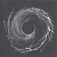 Dawn Of Midi 'Dysnomia' Erased Tapes Acoustic Minimalism 2LP [Vinyl]