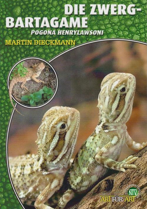 Die Zwergbartagame | Martin Dieckmann | Pogona Henrylawsoni |