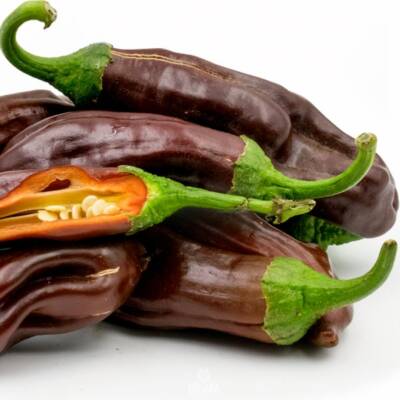Hot Pepper Ethiopian Brown 5 Stück frische Samen, würzige Paprika Samen