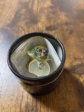 Megabass Type X 2004 Crankbait Lure Unused