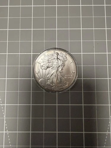 2019 SILVER EAGLE Coin- 1oz .999 Pure -THESE ARE GETTING HARD TO FIND~ BUY NOW!!