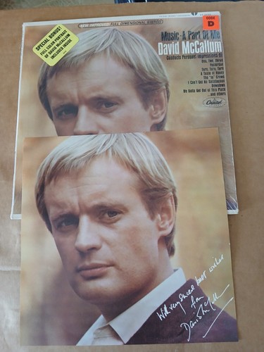 DAVID McCALLUM MUSIC A PART OF ME PLATTENALBUM LP + POSTER SHRINK 1966 WUNDERSCHÖN!