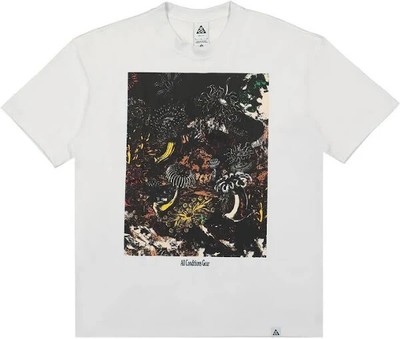 Nike ACG Dri-FIT Tidal Pool All Conditions Gear Graphic Shirt Herren XL DX9448-100