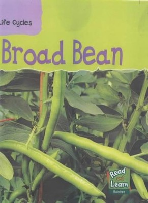 Broad Bean  (Read & Learn: Life Cycles),Louise Spilsbury