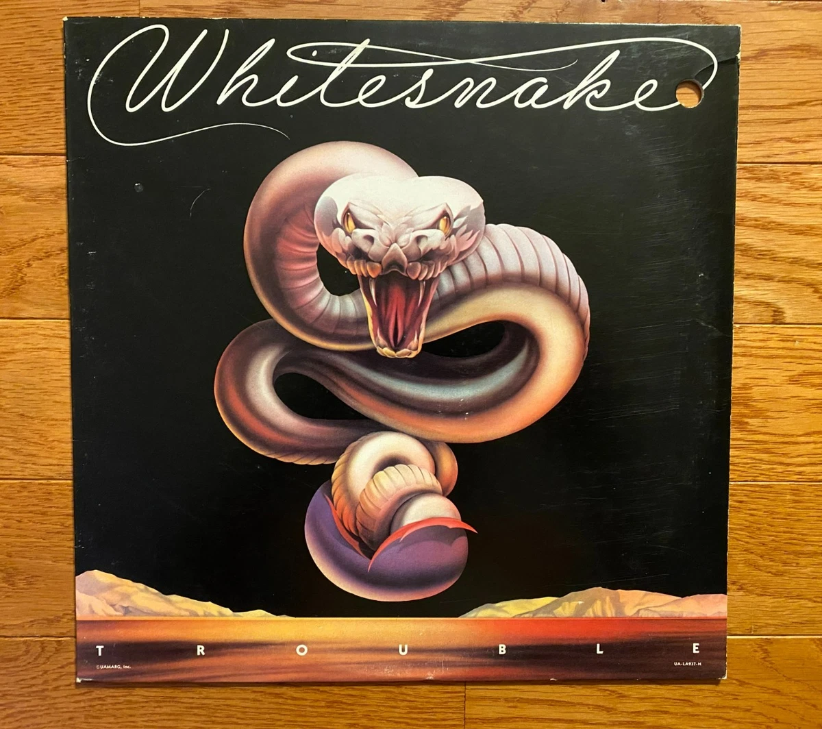 Whitesnake The Rock Album LP レコード Whitesnake The Rock Album LP レコード Amazon.com: ザ・ロック