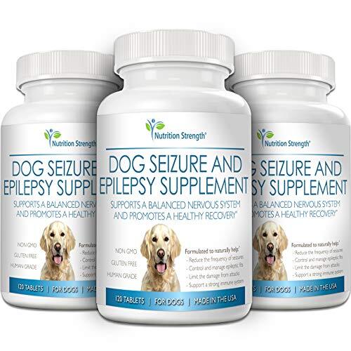 Nutrition Strength Dog Seizure Support Supplement for Epilepsy in Dogs