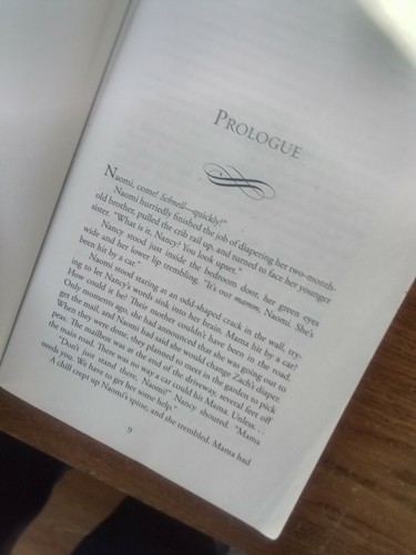 The Daughters of Lancaster County by Wanda E. Brunstetter (2005,paperback) - Picture 9 of 11