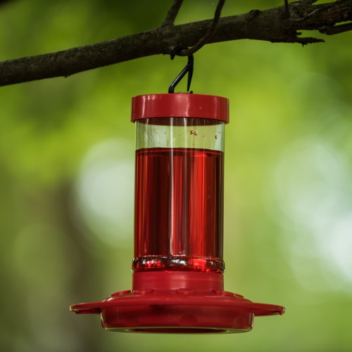 16 oz, Red, Plastic, First Nature Hummingbird Feeder, new