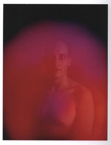 Porträtmaschine Projekt Carlo van de Roer signiert Erstausgabe Polaroid Aura - Bild 4 von 6