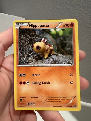 Pokemon - Hippopotas 87/160 - Primal Clash - NM 1218#165 | eBay
