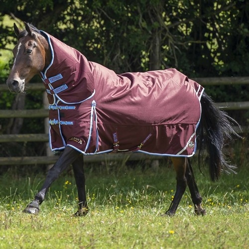 GALLOP TROJAN XTRA Waterproof Combo Turnout Horse Heavy Weight 350Fill - Afbeelding 1 van 1