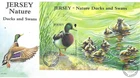 Jersey Comm/FDC - Nature - Ducks and Swans -  2004  (JES257)