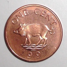1997 Bermuda 1 cent Coin Wild Boar Pig Hog Animal Wildlife