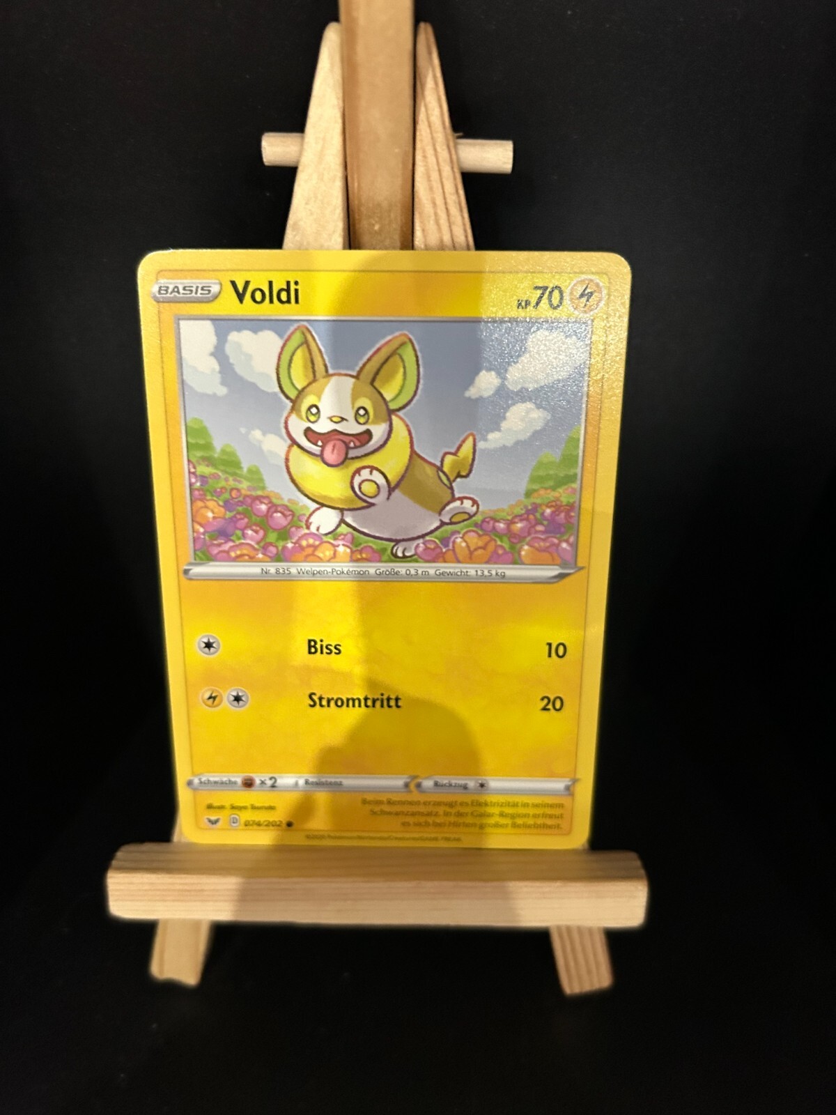 Foto 1 di 2