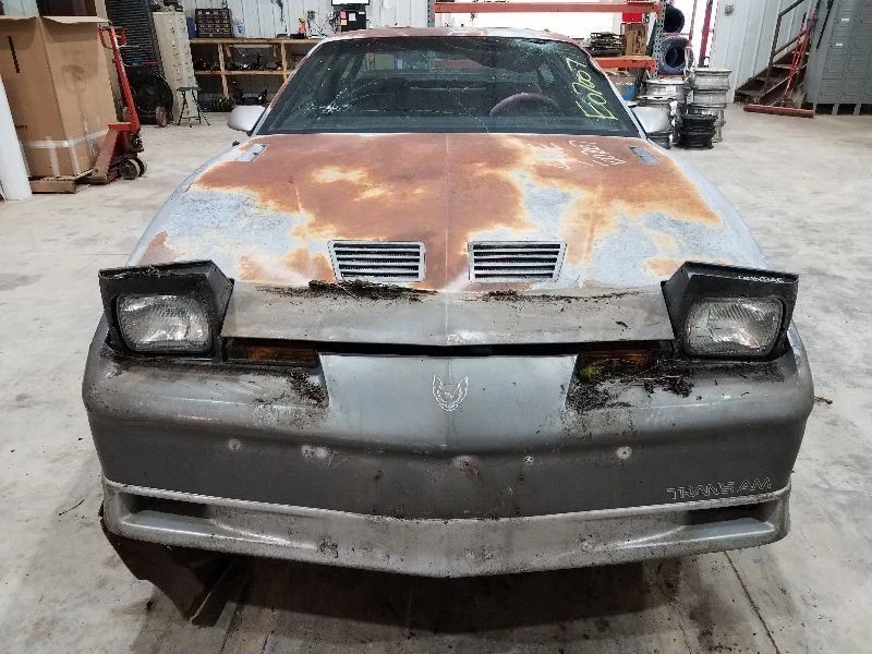 Muelle helicoidal trasero Pontiac Firebird 1982-02 Foto 3 de 4