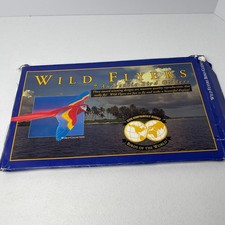Wild Flyers Bird Gliders