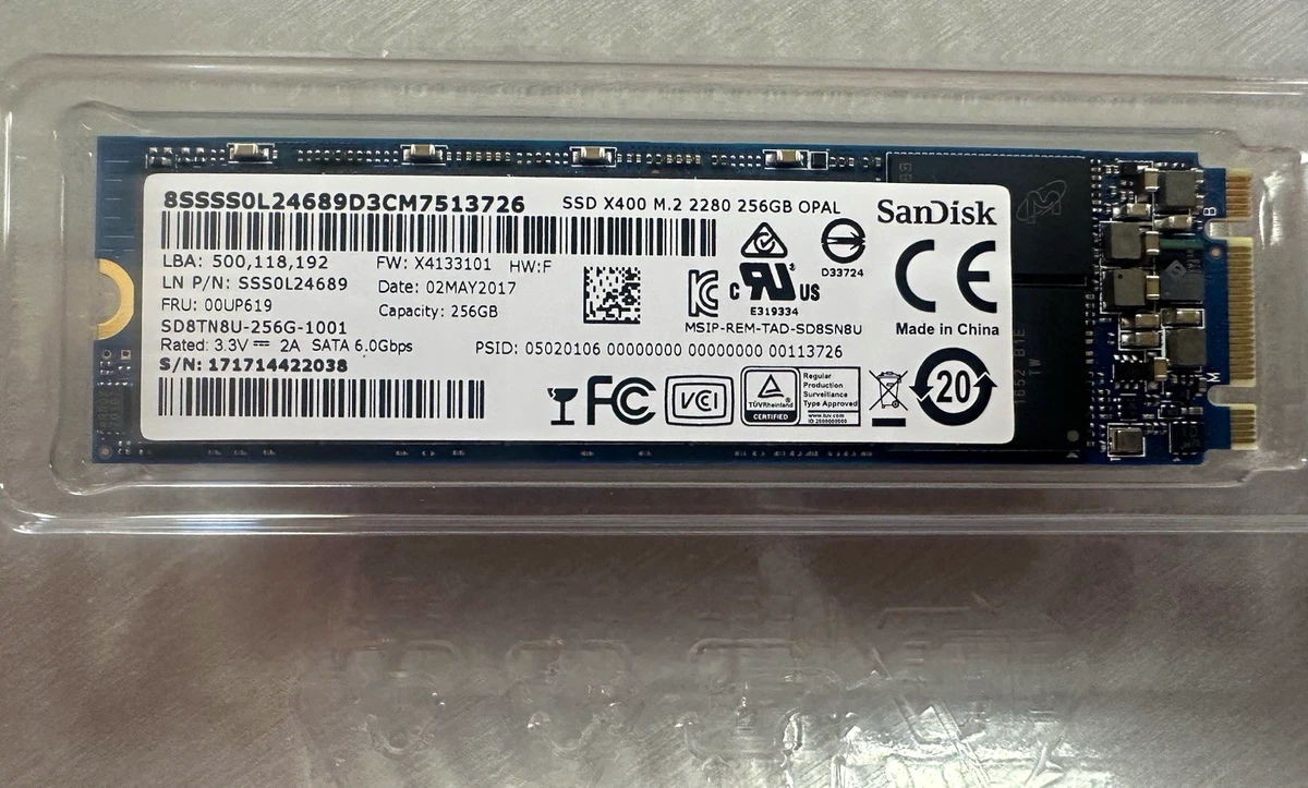SanDisk M.2 Interface 256 GB Solid State Drives for sale | eBay