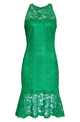 green emerald velvet dress Jude Lace Occasion Midi Dress in Jade Green
