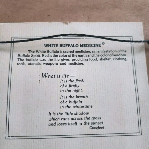 Arte enmarcado nativo americano blanco búfalo medicina viol nieve cancha de invierno vintage - Imagen 12 de 13