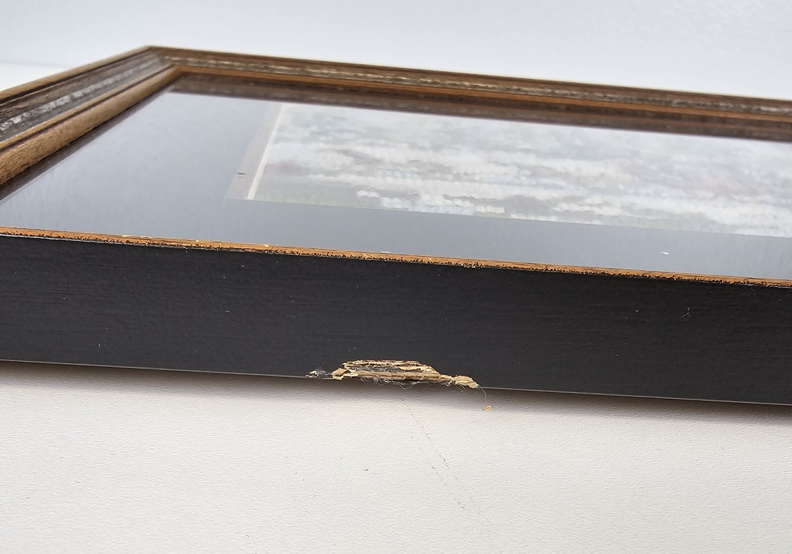 Picture 6 of 6