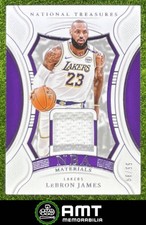 LeBron James 2024-25 Panini National Treasures 55/99 NBA Jersey Lakers NBA-LBJ