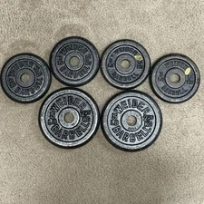 Weider Barbell Weight Standard Plates Set 4 x 3 Lb & 2 x 5 Lb Cast Iron 1" Hole