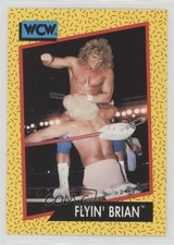 1991 Impel WCW Brian Pillman Flyin' Brian #61 0bn8