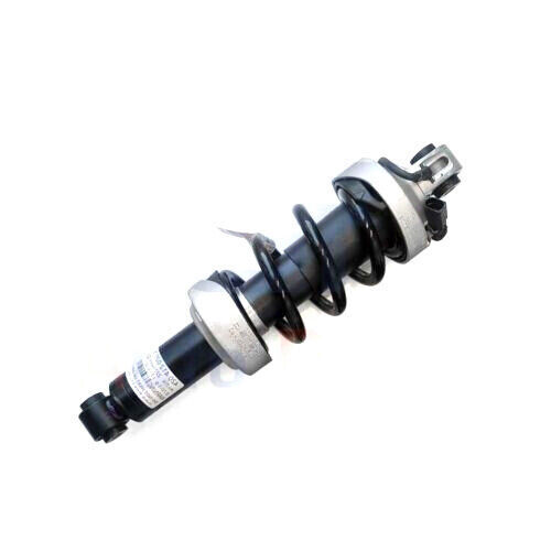 2x For Audi R8 V8 V10 Front Air Suspension Shock Struts Magnetic Ride  2007-2015