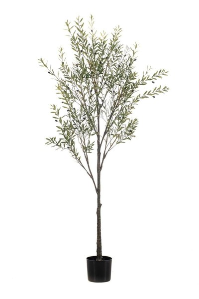 Artplants Kunstpflanze Olive Lonirb Mit FrüChten, Kunststamm, 175Cm-image