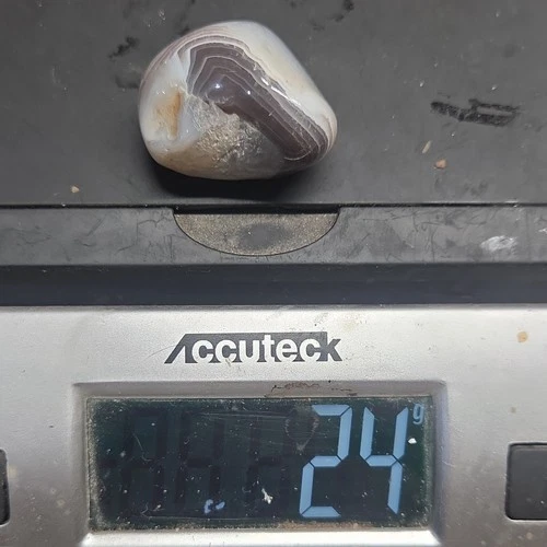 Unknown Type GrayWhite Banded Agate Tumbled Polished Stone Specimen Lapidary 24g