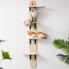 Mewoofun Wall-Mounted Cat Shelf Jumping Platform Activity Center Cat Climber