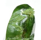 Bild 5 von 10