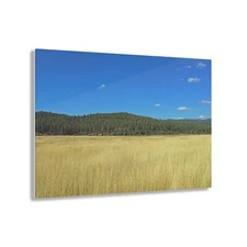 Acrylic Print Field Yellow Golden Farm Scenery View High Definition Wall Art