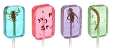 Insect Sucker Lollipop Bundle - Pack of 4 - Scorpion, Ants, Cricket, And... 